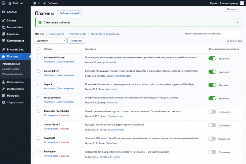Список плагинов WordPress после восстановления доступа
